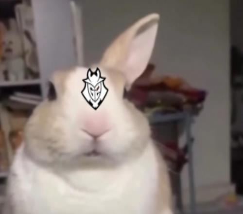 Bin语从句已学会G2官博发文：春节悄悄竞赛卷死你们